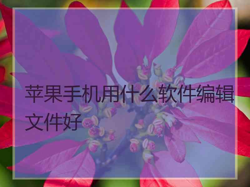 苹果手机用什么软件编辑文件好