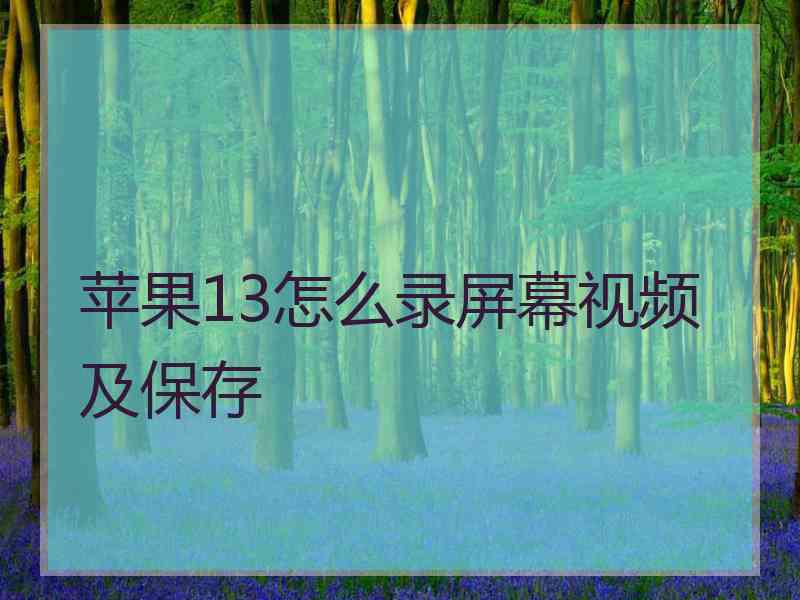 苹果13怎么录屏幕视频及保存