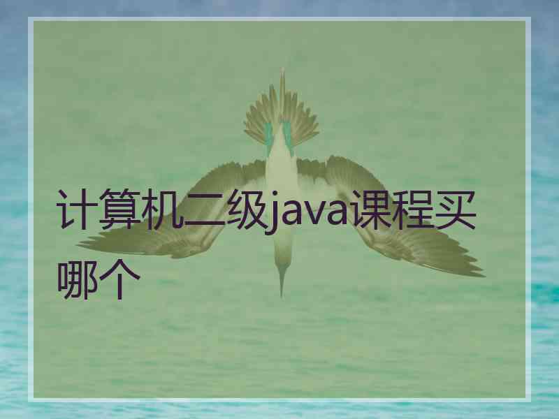 计算机二级java课程买哪个