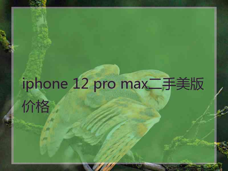 iphone 12 pro max二手美版价格