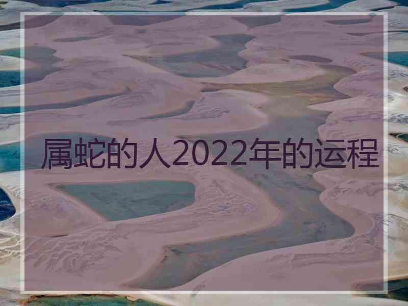 属蛇的人2022年的运程