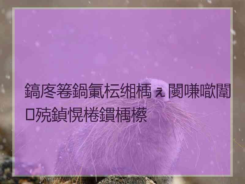 鎬庝箞鍋氭枟缃楀ぇ闄嗛噷闈㈢殑鍞愰棬鏆楀櫒