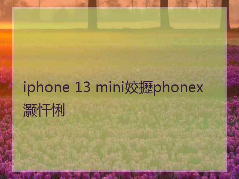 iphone 13 mini姣攊phonex灏忓悧