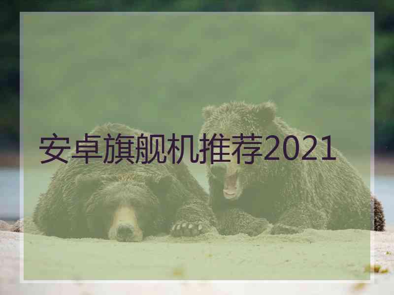 安卓旗舰机推荐2021