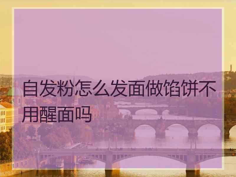 自发粉怎么发面做馅饼不用醒面吗