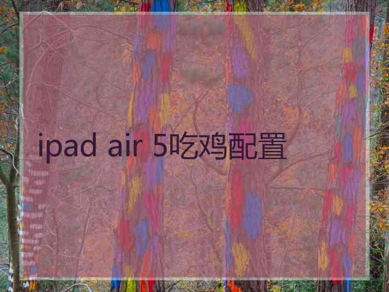 ipad air 5吃鸡配置