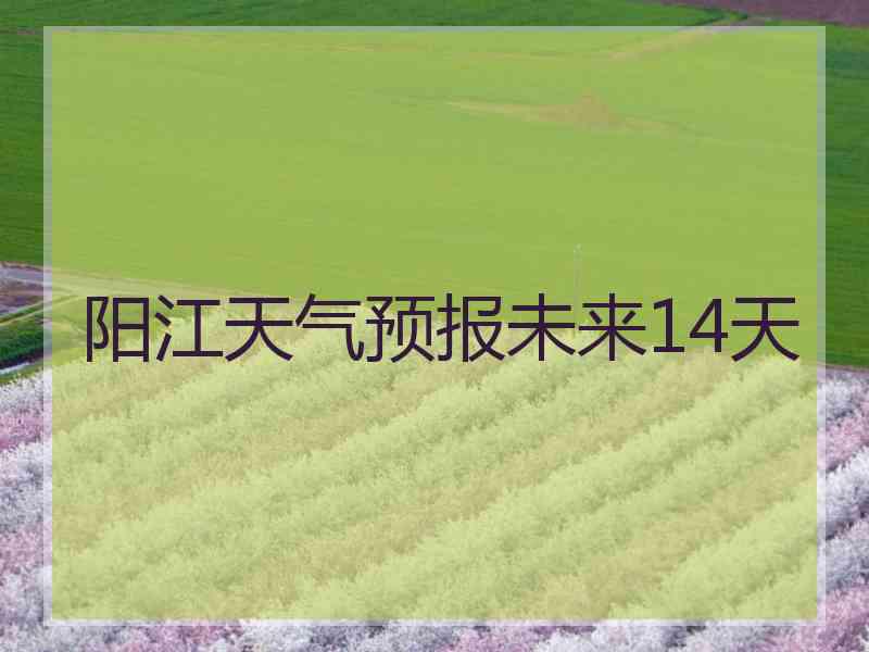 阳江天气预报未来14天