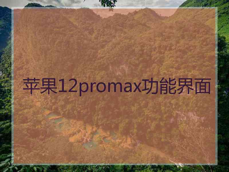 苹果12promax功能界面