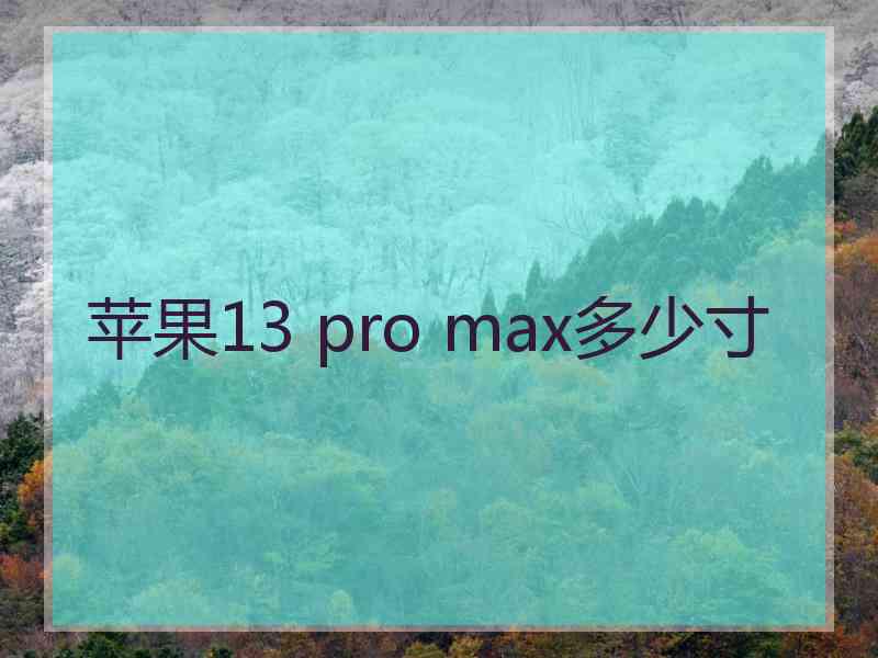 苹果13 pro max多少寸