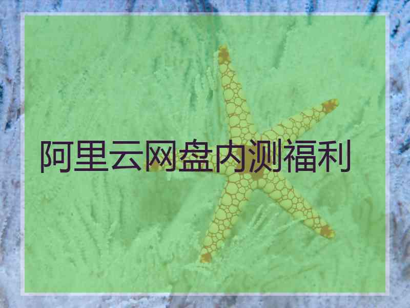 阿里云网盘内测福利