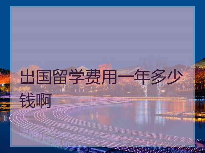 出国留学费用一年多少钱啊