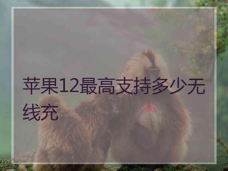 苹果12最高支持多少无线充