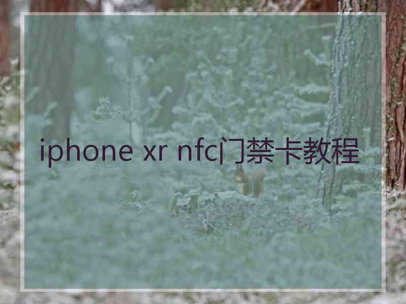 iphone xr nfc门禁卡教程