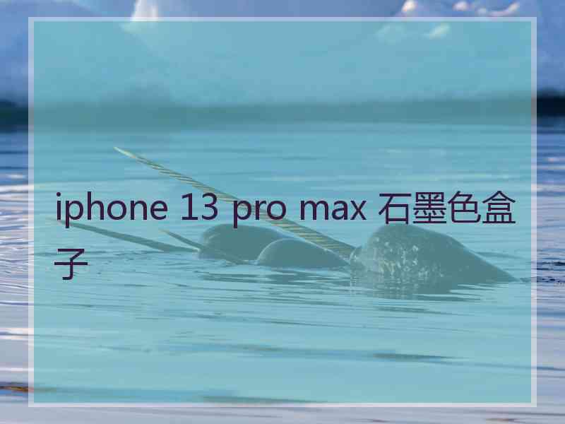 iphone 13 pro max 石墨色盒子