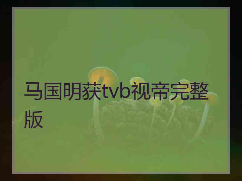 马国明获tvb视帝完整版