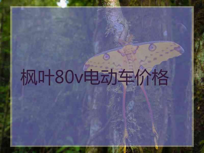 枫叶80v电动车价格