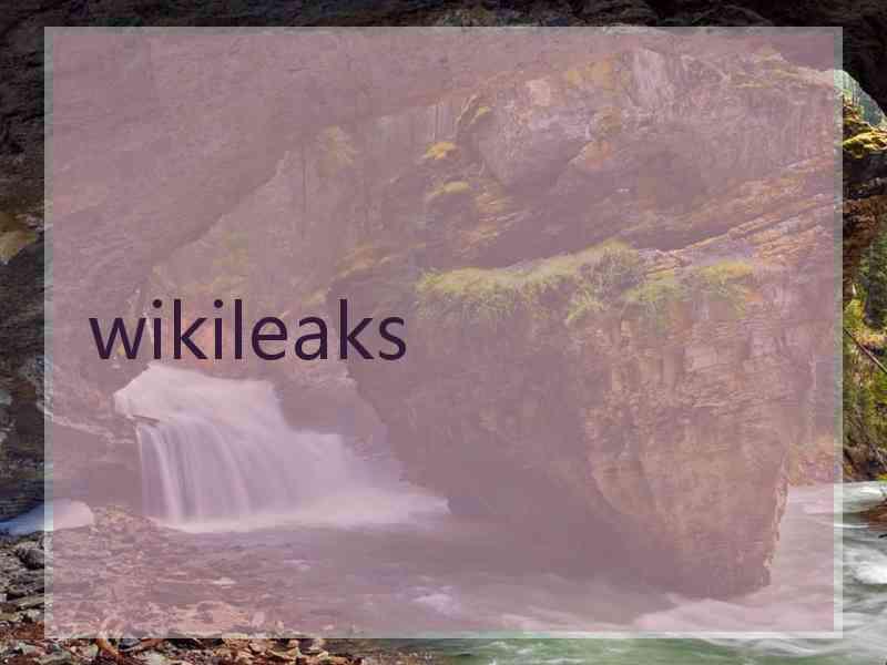 wikileaks