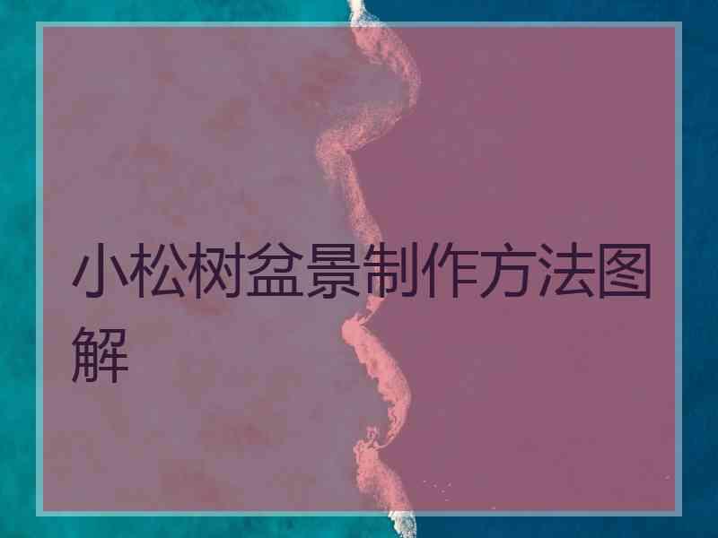 小松树盆景制作方法图解