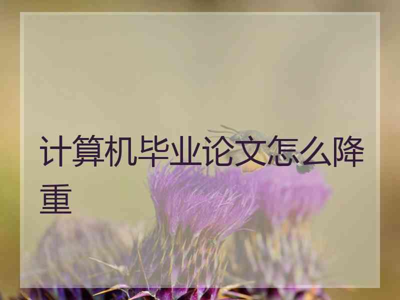 计算机毕业论文怎么降重