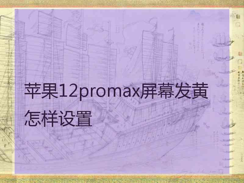 苹果12promax屏幕发黄怎样设置