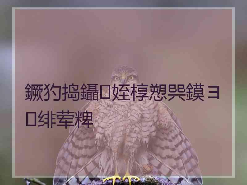 鐝犳捣鑷姪椁愬巺鏌ヨ绯荤粺