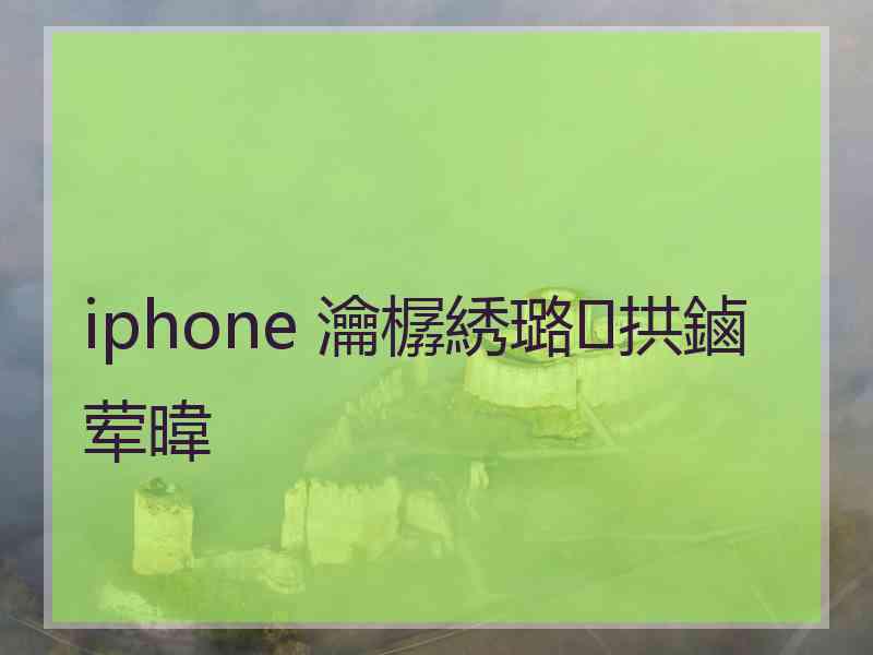 iphone 瀹樼綉璐拱鏀荤暐