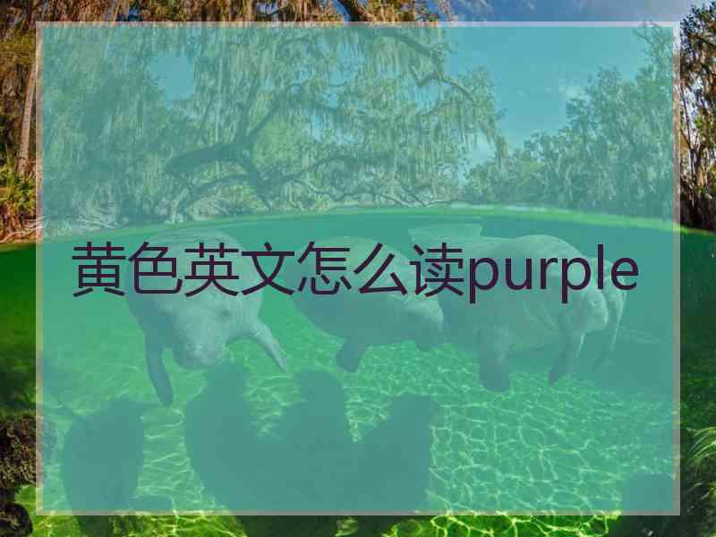 黄色英文怎么读purple