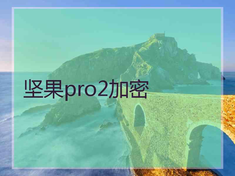 坚果pro2加密