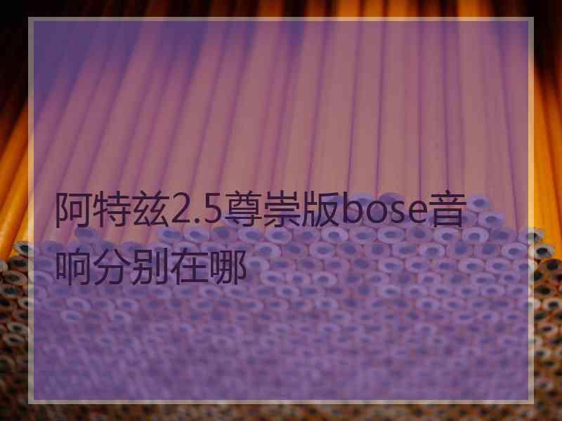 阿特兹2.5尊崇版bose音响分别在哪