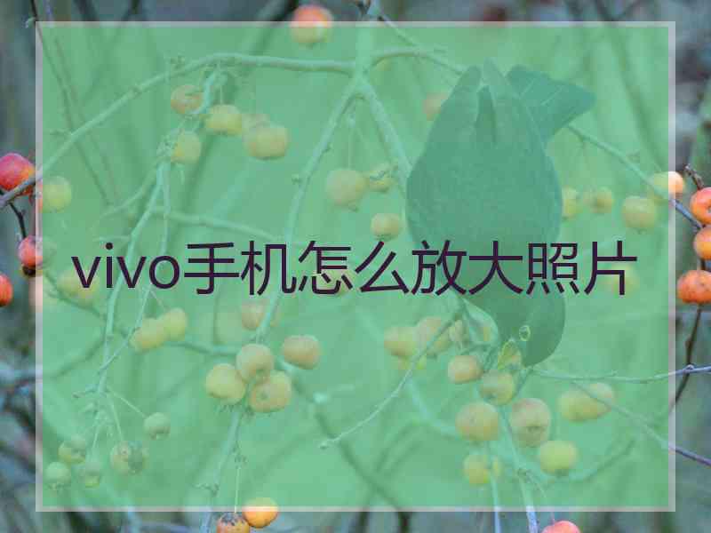 vivo手机怎么放大照片