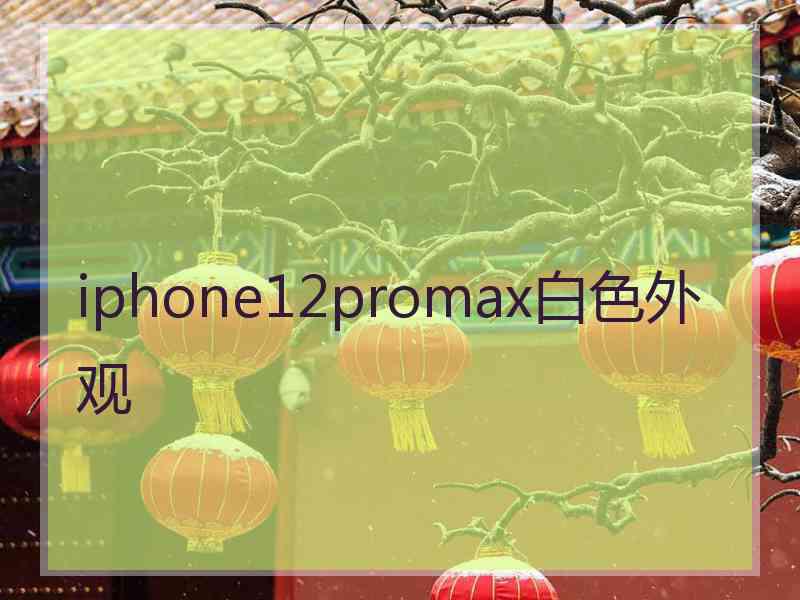 iphone12promax白色外观