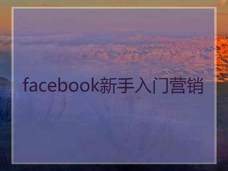 facebook新手入门营销