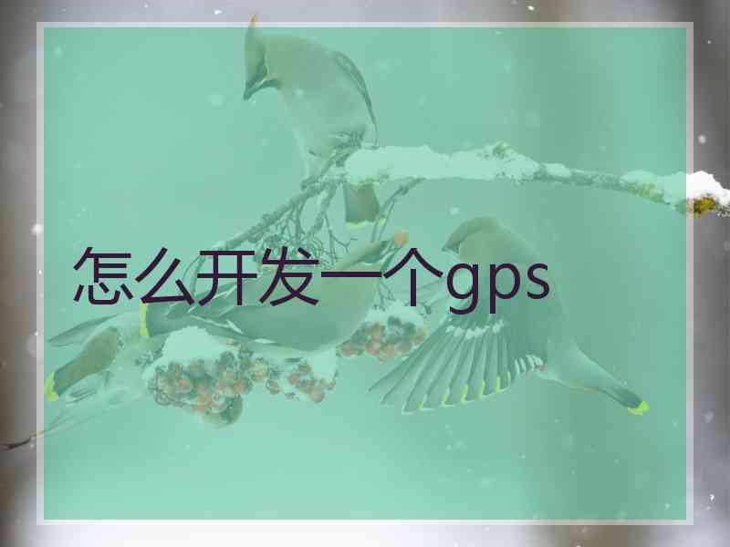 怎么开发一个gps