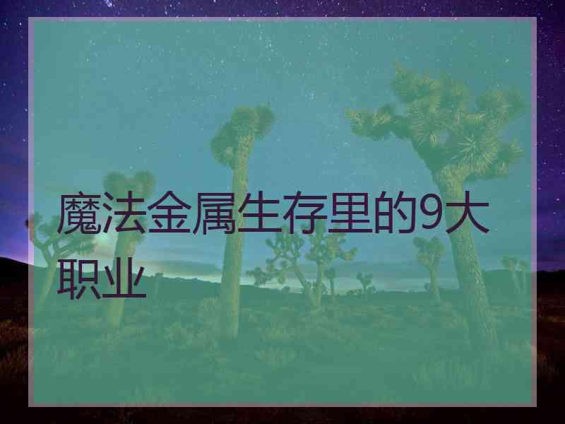 魔法金属生存里的9大职业