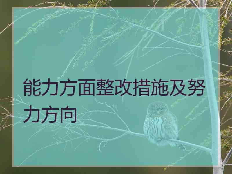 能力方面整改措施及努力方向