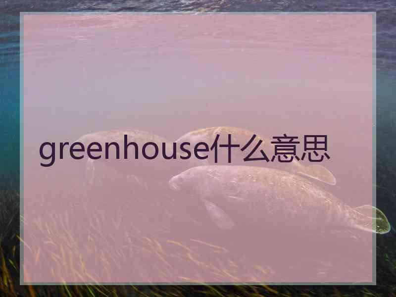 greenhouse什么意思