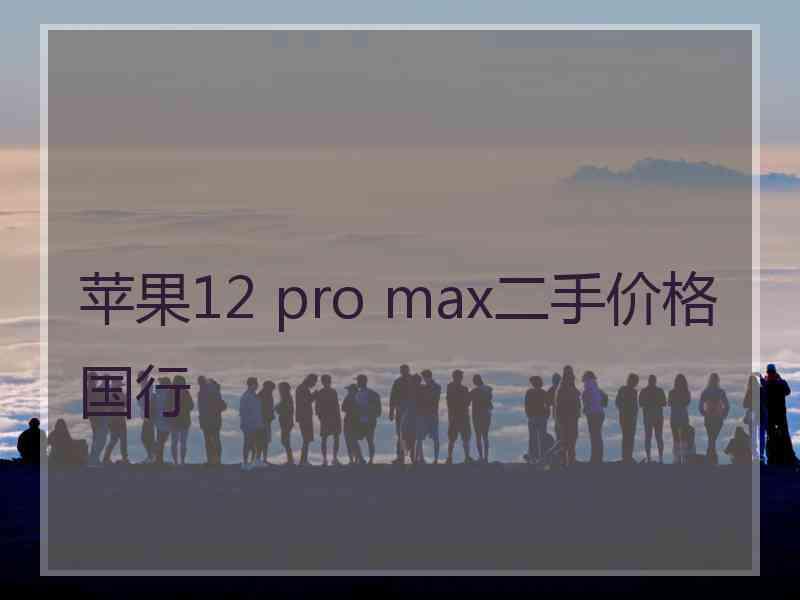 苹果12 pro max二手价格国行