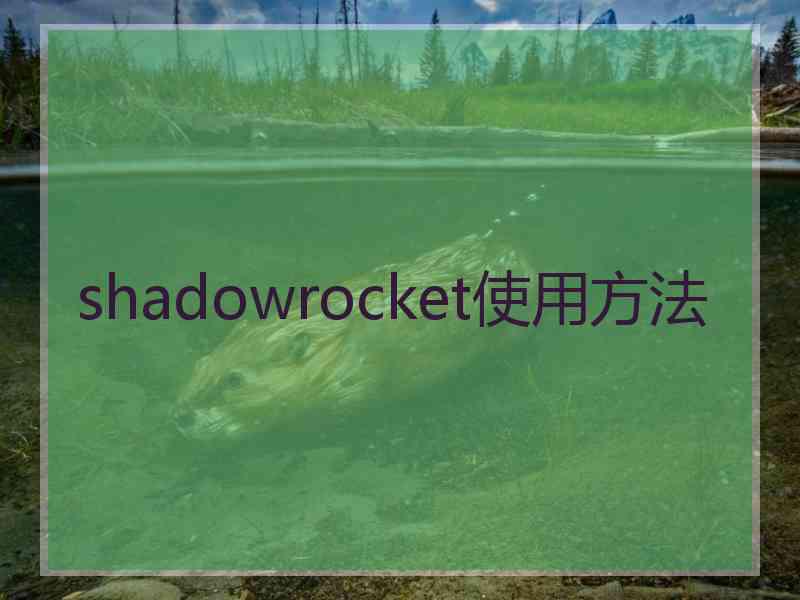 shadowrocket使用方法