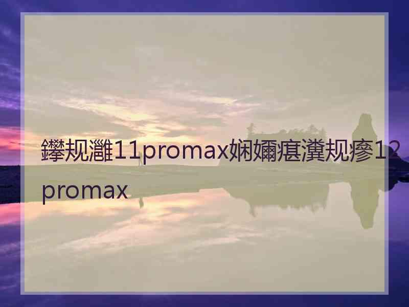 鑻规灉11promax娴嬭瘎瀵规瘮12promax