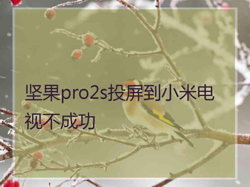 坚果pro2s投屏到小米电视不成功