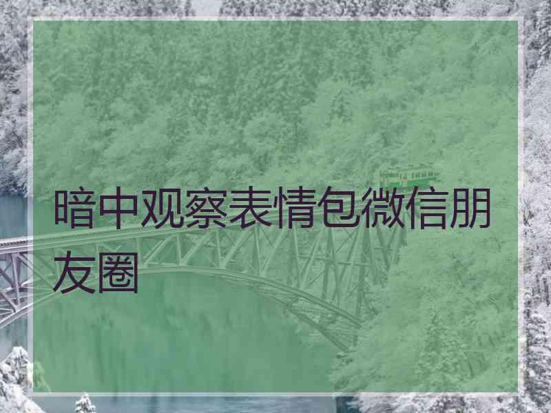 暗中观察表情包微信朋友圈