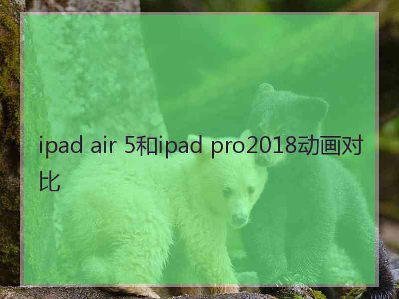 ipad air 5和ipad pro2018动画对比