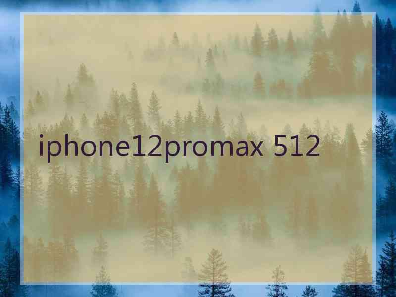 iphone12promax 512