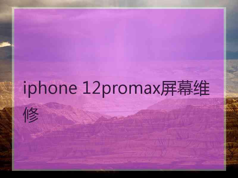 iphone 12promax屏幕维修