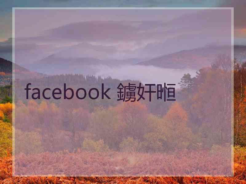 facebook 鐪奸暅