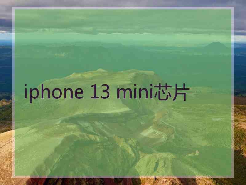 iphone 13 mini芯片