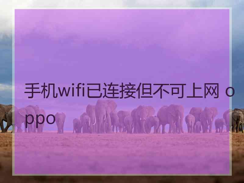 手机wifi已连接但不可上网 oppo