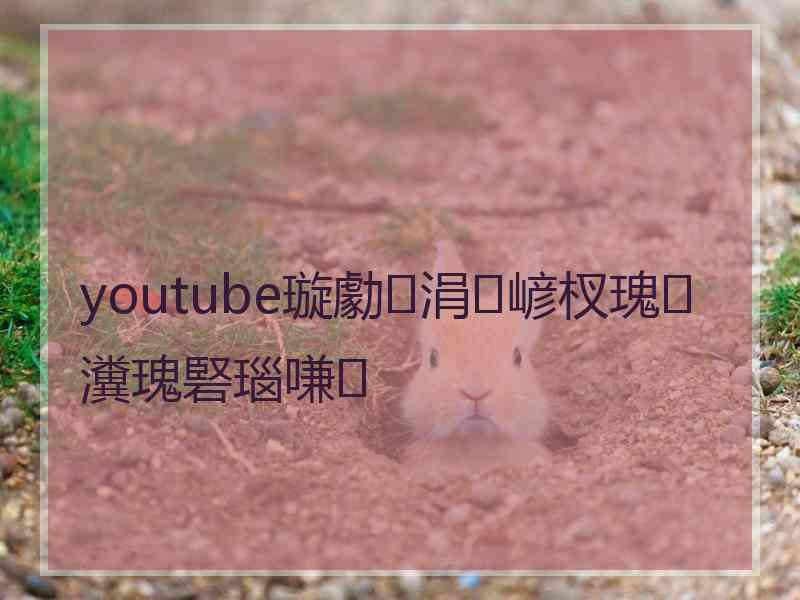 youtube璇勮涓嵃杈瑰瀵瑰硻瑙嗛