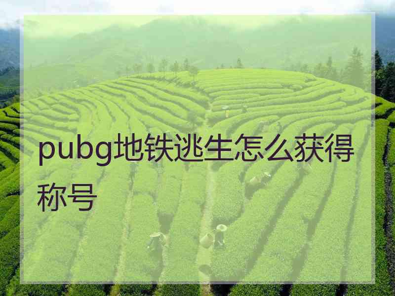 pubg地铁逃生怎么获得称号