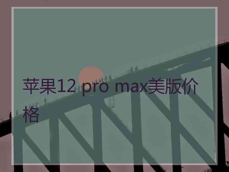 苹果12 pro max美版价格